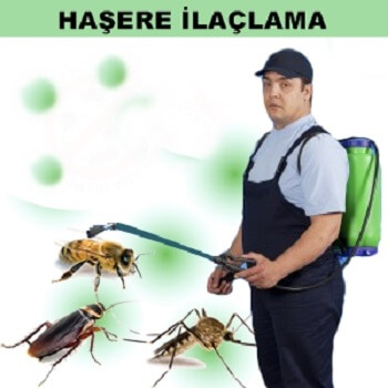 Şirvan Böcek İlaçlama